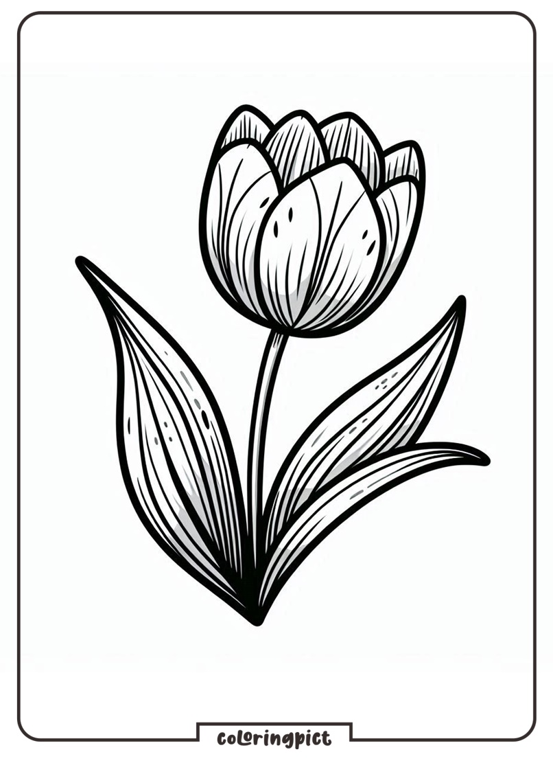 Tulip Coloring Pages for Kids