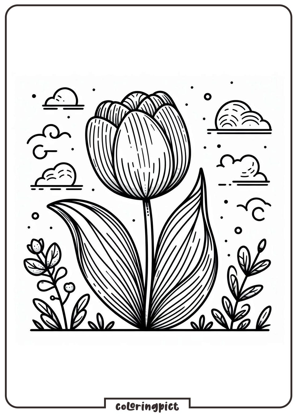 Tulip Coloring Pages