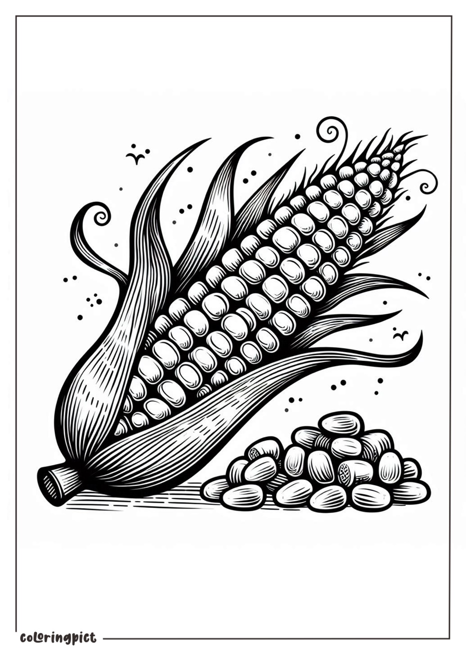 corn coloring pages